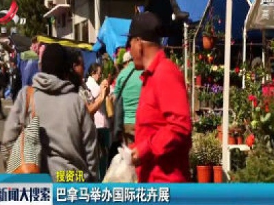 巴拿马举办国际花卉展