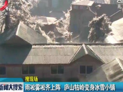 雨凇雾凇齐上阵 庐山山牯岭变身冰雪小镇