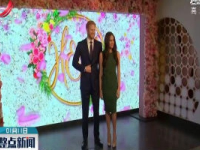 伦敦杜莎夫人蜡像馆移走哈里夫妇蜡像