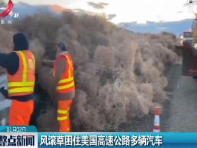 风滚草困住美国高速公路多辆汽车