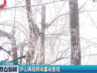 整点新闻20200108 16:00