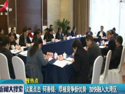 议案点击 何善锦：厚植竞争新优势 加快融入大湾区