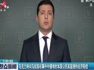 乌克兰将向乌航客机事件中遇难的本国公民家庭提供经济赔偿