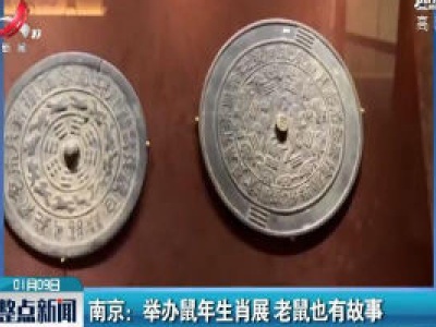 南京：举办鼠年生肖展 老鼠也有故事