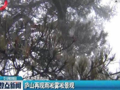 庐山再现雨凇雾凇景观