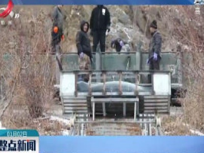 辽宁：东北基地捞出200斤鲟鱼