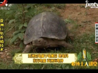 农博士大讲堂20200116 亚洲巨龟养殖技术