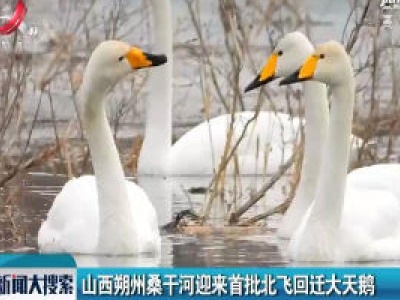 新闻大搜索20200223