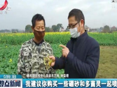 【众志成城 抗击疫情】泰和：油菜花开遍地黄 农技人员指导忙 