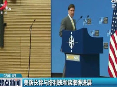 美国防长称与塔利班和谈取得进展