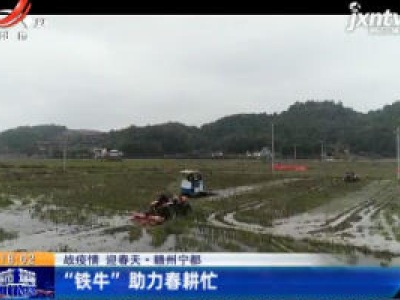 【战疫情 迎春天】赣州宁都：“铁牛”助力春耕忙