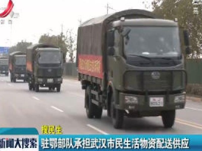驻鄂部队承担武汉市民生活物资配送供应