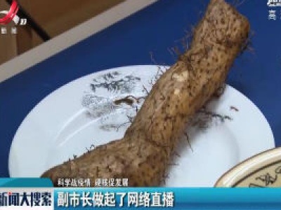 【科学战疫情 硬核促发展】副市长做起了网络直播