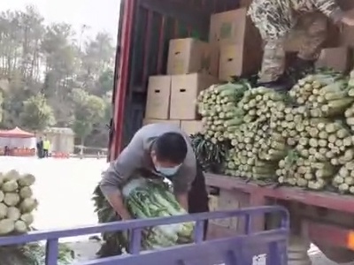 宁都第二批1.5万斤爱心富硒蔬菜送达南昌四家医院