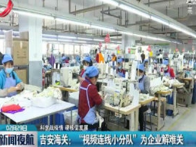 【科学战疫情 硬核促发展】吉安海关：“视频连线小分队”为企业解难关