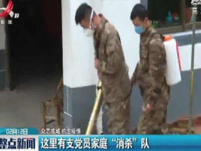 【众志成城 抗击疫情】这里有支党员家庭“消杀”队