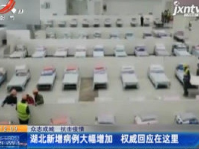 【众志成城 抗击疫情】湖北新增病例大幅增加 权威回应在这里