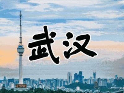 武汉：对在省外滞留的武汉市民立即启动返汉安排