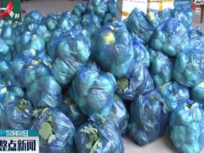 【众志成城 抗击疫情】捐赠数吨爱心菜 全力支援抗疫情
