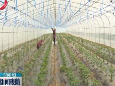 新闻夜航20200221