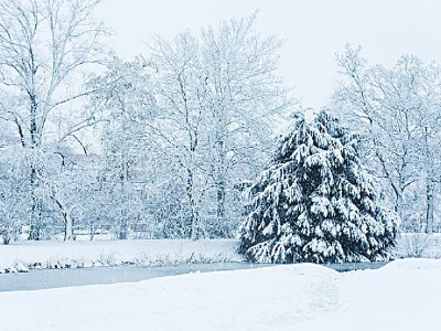 江西下雪预报精准到县！提醒：雪不能乱玩！