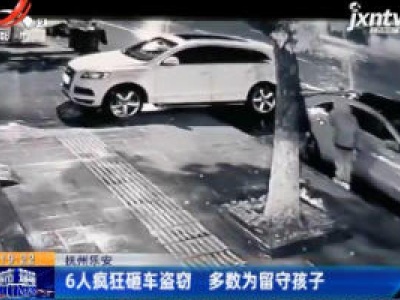 抚州乐安：6人疯狂砸车盗窃 多数为留守孩子