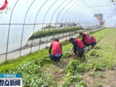 永修：开通滞销农产品求助通道 为贫困户解难