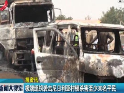 极端组织袭击尼日利亚村镇杀害至少30名平民