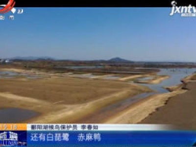 九江都昌：春暖花开 鄱阳湖越冬候鸟开始北迁