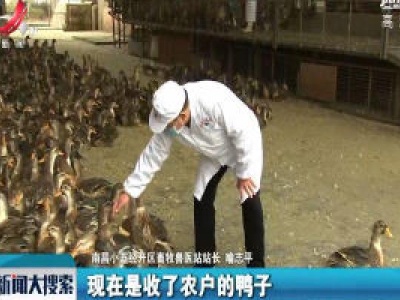 【众志成城 抗击疫情】煌上煌家禽屠宰线提前复产保供应