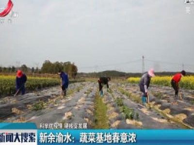 【科学防疫情 硬核促发展】新余渝水：蔬菜基地春意浓