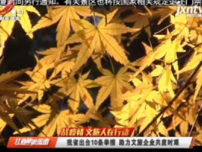 【战疫情 文旅人在行动】我省出台10条举措 助力文旅企业共度时艰