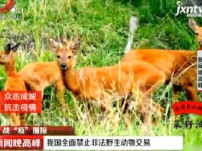 【战“役”播报】我国全面禁止非法野生动物交易