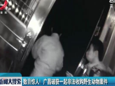 数目惊人！广昌破获一起非法收购野生动物案件