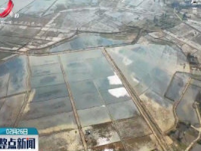【科学战疫情 硬核促发展】我省各地高标准农田建设有序推进