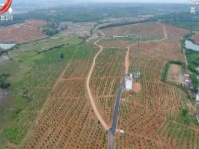 江西新增经济林种植面积60多万亩