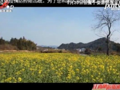 江西旅游报道20200221