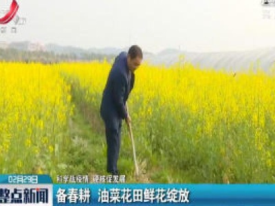 【科学防疫情 硬核促发展】备春耕 油菜花田鲜花绽放