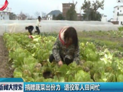 捐赠蔬菜出份力 退役军人田间忙