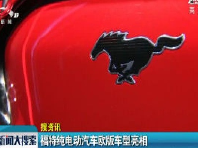 【搜资讯】福特纯电动汽车欧版车型亮相