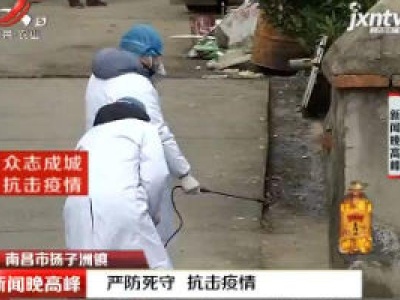 南昌市扬子洲镇：严防死守 抗击疫情