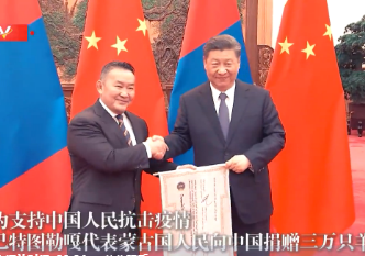 ​独家视频丨蒙古国总统向中国赠送30000只羊