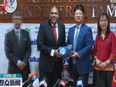 马来西亚向武汉捐赠1800万只医疗手套