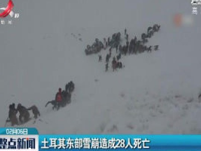 土耳其东部雪崩造成28人死亡