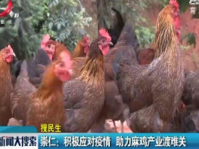 崇仁：积极应对疫情 助力麻鸡产业渡难关