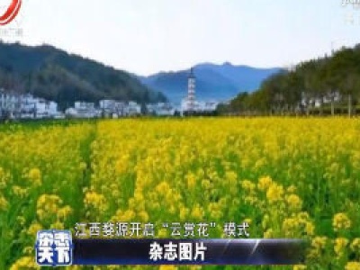 江西婺源开启“云赏花”模式
