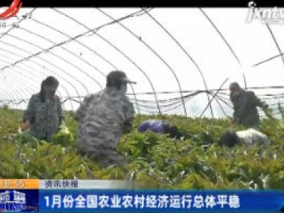 【众志成城 抗击疫情】1月份全国农业农村经济运行总体平稳