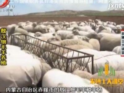 农博士大讲堂20200220 敖汉细毛羊养殖