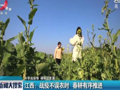 【科学战疫情 硬核促发展】江西：战疫不误农时 春耕有序推进