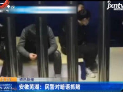 安徽芜湖：民警对暗语抓赌